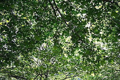 活下来就是胜利 《United 1944》加入幸存者模式