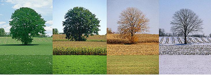 NIS美国发布《神技 盗来》实机演示 游戏10月发售